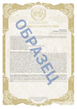 Образец Приложение к СТО 01.064.00220722.2-2020 Заринск Сертификат СТО 01.064.00220722.2-2020 